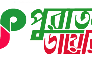 puratondiary-logo-transparent